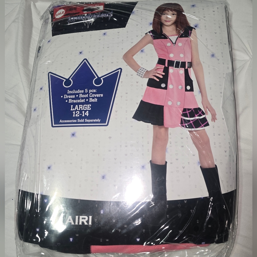 Pink and Black Dress Costume